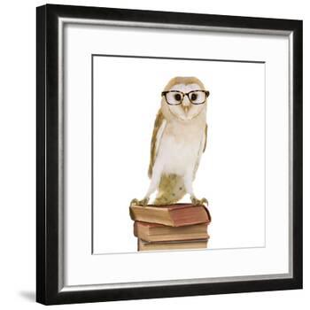 Barn Owl with Books Wearing Glasses-Andy and Clare Teare-Framed Photographic Print