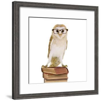 Barn Owl with Books Wearing Glasses-Andy and Clare Teare-Framed Photographic Print