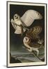 Barn Owl-John James Audubon-Mounted Art Print