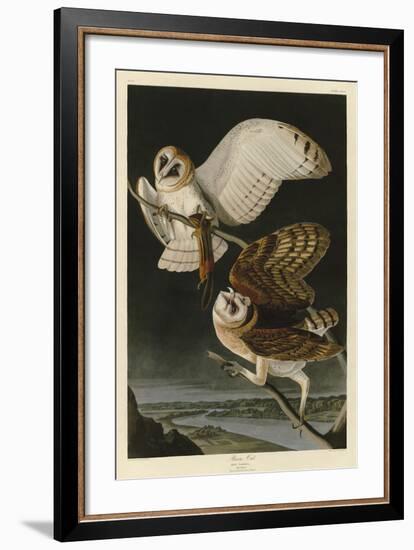 Barn Owl-John James Audubon-Framed Art Print