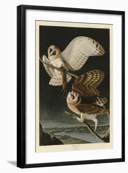 Barn Owl-John James Audubon-Framed Art Print