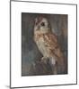 Barn Owl-Joseph Crawhall-Mounted Premium Giclee Print