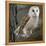 Barn Owl-Linda Wright-Framed Premier Image Canvas