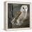 Barn Owl-Linda Wright-Framed Premier Image Canvas