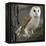 Barn Owl-Linda Wright-Framed Premier Image Canvas