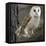 Barn Owl-Linda Wright-Framed Premier Image Canvas