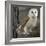 Barn Owl-Linda Wright-Framed Premium Photographic Print