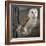 Barn Owl-Linda Wright-Framed Premium Photographic Print