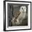 Barn Owl-Linda Wright-Framed Premium Photographic Print