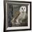 Barn Owl-Linda Wright-Framed Premium Photographic Print