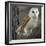 Barn Owl-Linda Wright-Framed Premium Photographic Print