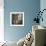 Barn Owl-Linda Wright-Framed Premium Photographic Print displayed on a wall