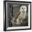 Barn Owl-Linda Wright-Framed Premium Photographic Print