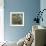 Barn Owl-Linda Wright-Framed Premium Photographic Print displayed on a wall