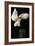 Barn Owl-Andy Harmer-Framed Photographic Print