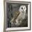 Barn Owl-Linda Wright-Framed Photographic Print