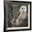 Barn Owl-Linda Wright-Framed Photographic Print