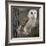 Barn Owl-Linda Wright-Framed Photographic Print