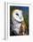 Barn Owl-Douglas Taylor-Framed Photographic Print