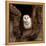 Barn Owl-jack53-Framed Stretched Canvas