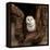 Barn Owl-jack53-Framed Stretched Canvas