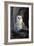 Barn Owl-Lantern Press-Framed Art Print