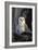 Barn Owl-Lantern Press-Framed Art Print