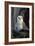 Barn Owl-Lantern Press-Framed Art Print