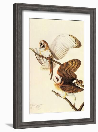 Barn Owl-John James Audubon-Framed Art Print