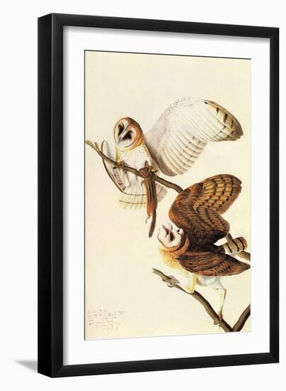 Barn Owl-John James Audubon-Framed Art Print