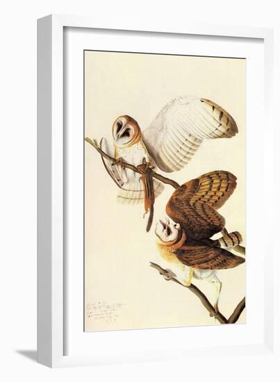 Barn Owl-John James Audubon-Framed Art Print