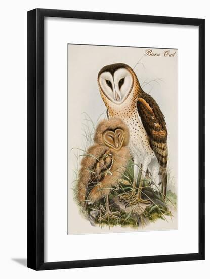 Barn Owl-John Gould-Framed Art Print