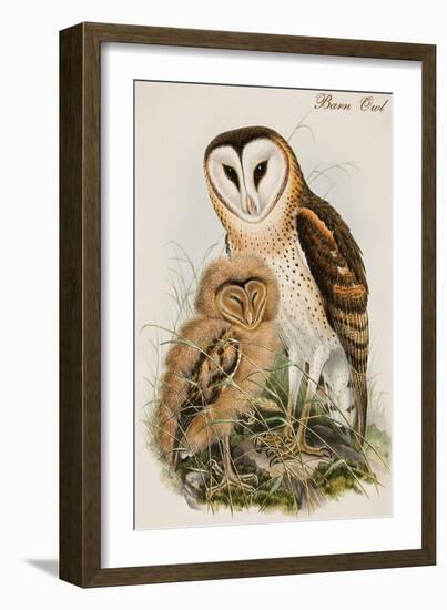 Barn Owl-John Gould-Framed Art Print