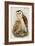 Barn Owl-John Gould-Framed Art Print