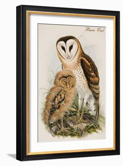 Barn Owl-John Gould-Framed Art Print