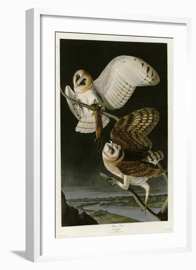 Barn Owl-null-Framed Giclee Print