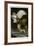 Barn Owl-null-Framed Giclee Print