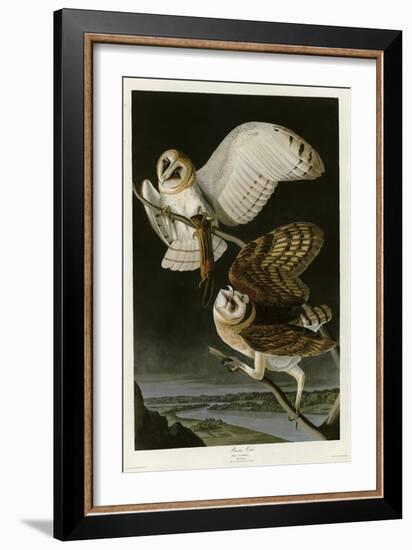 Barn Owl-null-Framed Giclee Print