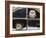 Barn Owls Looking out of a Barn Window Germany-Dietmar Nill-Framed Photographic Print