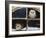 Barn Owls Looking out of a Barn Window Germany-Dietmar Nill-Framed Photographic Print