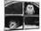 Barn Owls Looking out of a Barn Window Germany-Dietmar Nill-Mounted Photographic Print