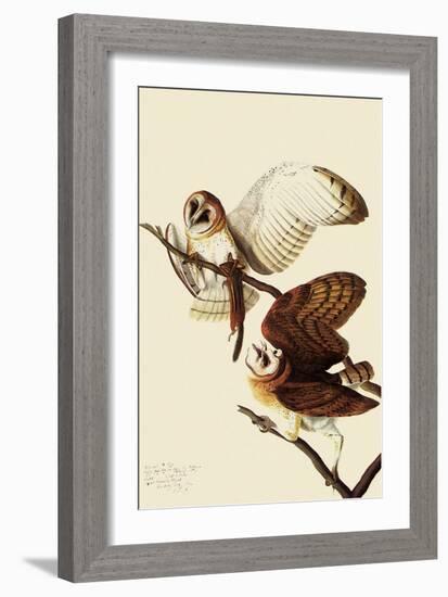 Barn Owls-John James Audubon-Framed Giclee Print