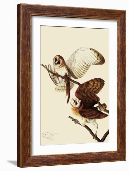 Barn Owls-John James Audubon-Framed Giclee Print