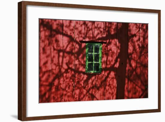 Barn, Red, Green Window, Shadow of a Tree-Uwe Steffens-Framed Photographic Print