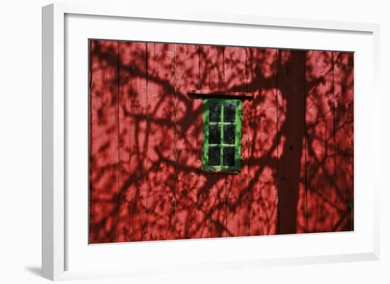 Barn, Red, Green Window, Shadow of a Tree-Uwe Steffens-Framed Photographic Print