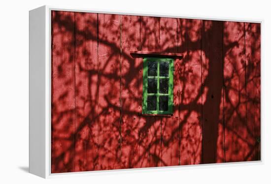 Barn, Red, Green Window, Shadow of a Tree-Uwe Steffens-Framed Premier Image Canvas