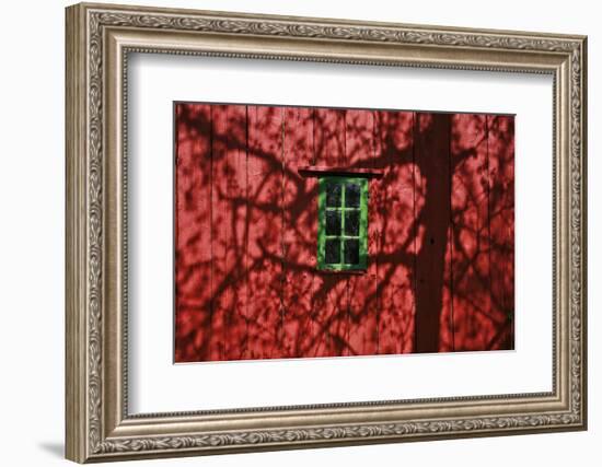 Barn, Red, Green Window, Shadow of a Tree-Uwe Steffens-Framed Photographic Print