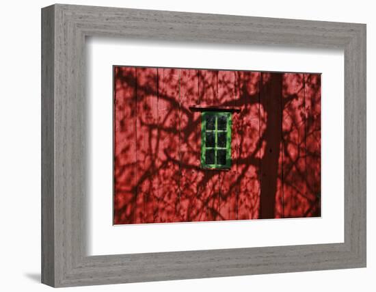 Barn, Red, Green Window, Shadow of a Tree-Uwe Steffens-Framed Photographic Print