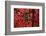 Barn, Red, Green Window, Shadow of a Tree-Uwe Steffens-Framed Photographic Print