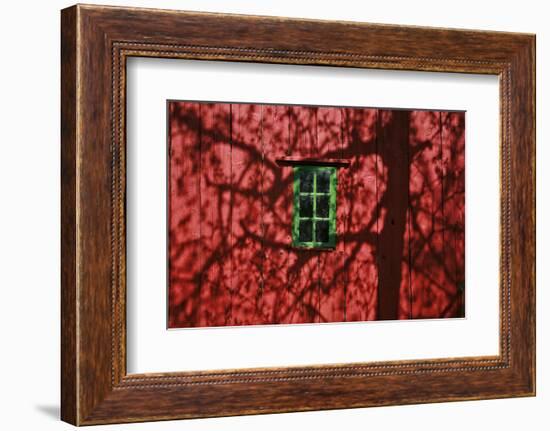 Barn, Red, Green Window, Shadow of a Tree-Uwe Steffens-Framed Photographic Print